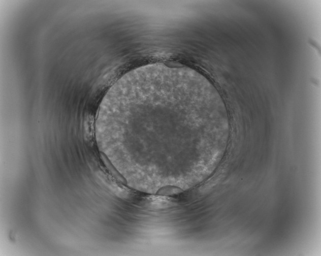 X0000102390528200808291426