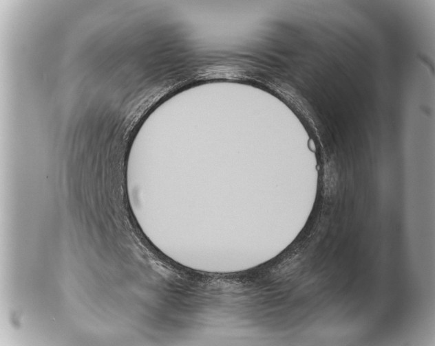 X0000102390529200808291425