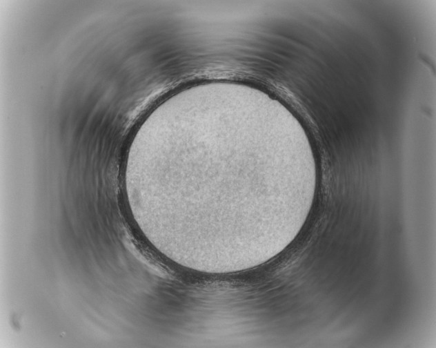 X0000102390530200808291425