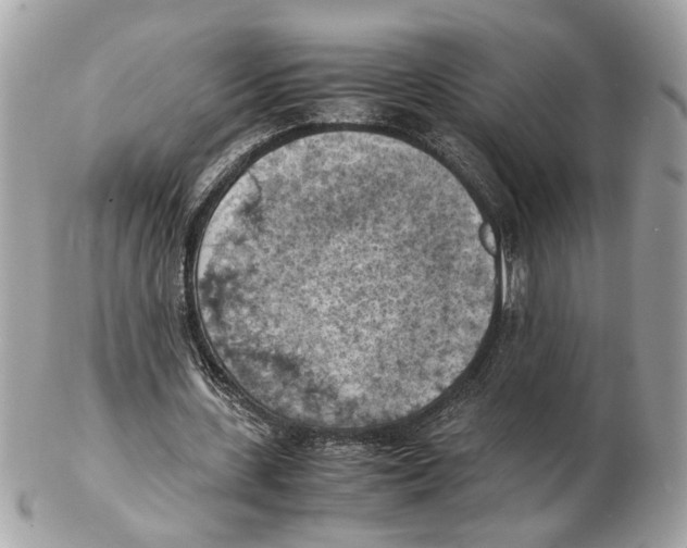 X0000102390531200808291425