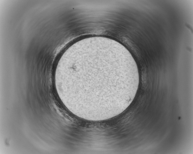 X0000102390532200808291425