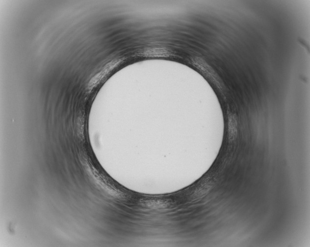 X0000102390533200808291425