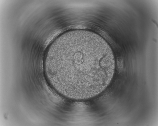 X0000102390534200808291425