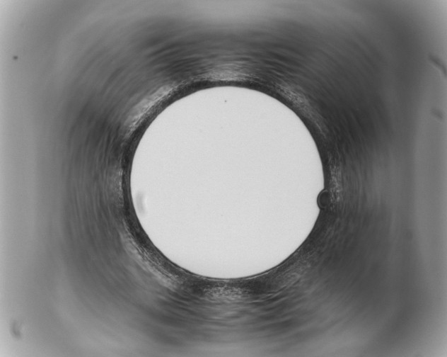 X0000102390535200808291425