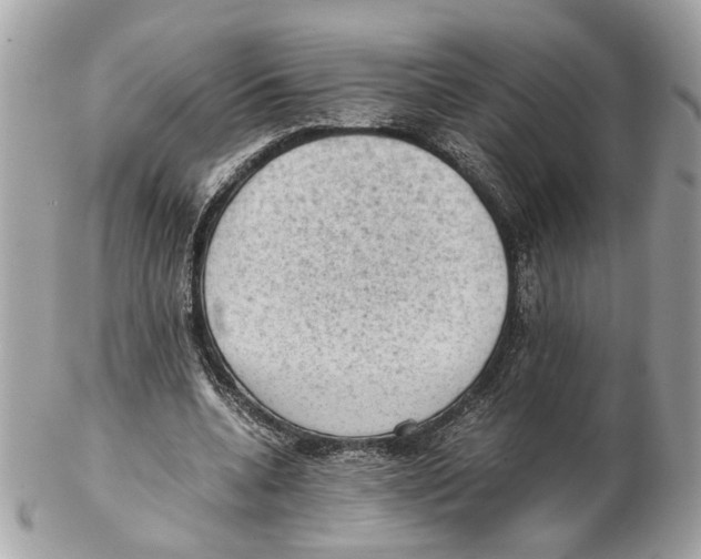 X0000102390536200808291425