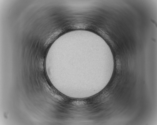 X0000102390537200808291425