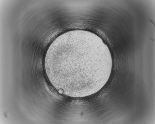 X0000102390538200808291425