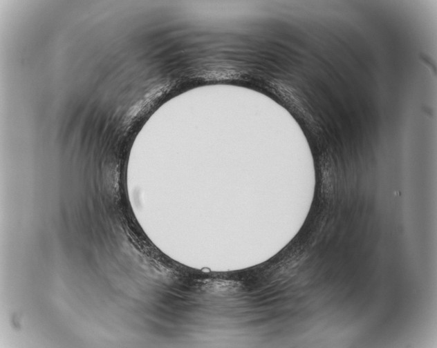 X0000102390539200808291425