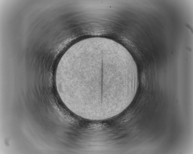 X0000102390540200808291425