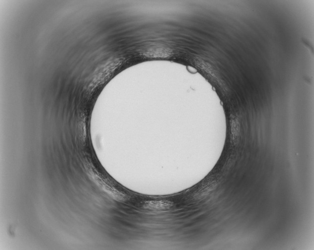 X0000102390541200808291425
