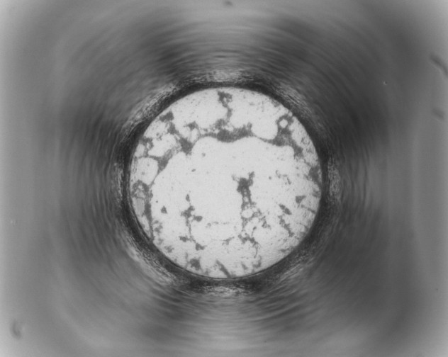 X0000102390542200808291425
