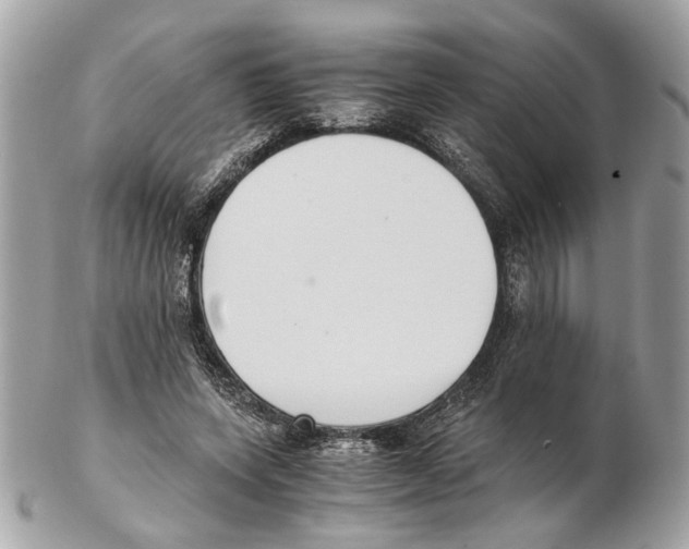 X0000102390543200808291425
