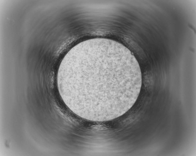 X0000102390544200808291426