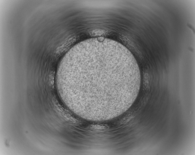 X0000102390545200808291426