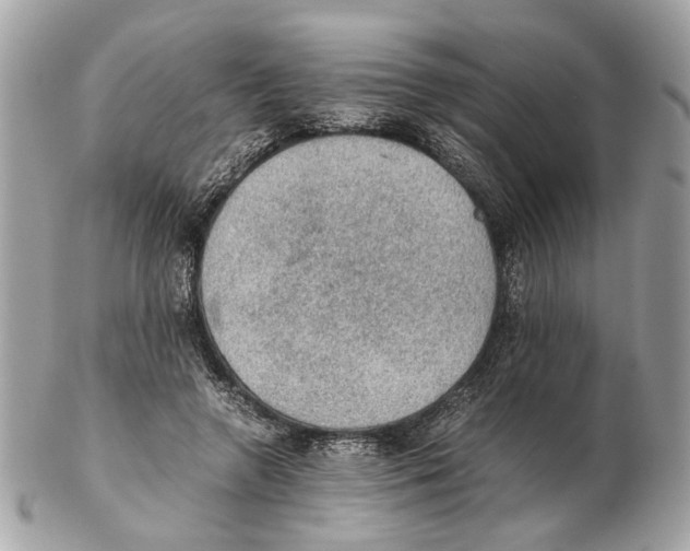 X0000102390546200808291426