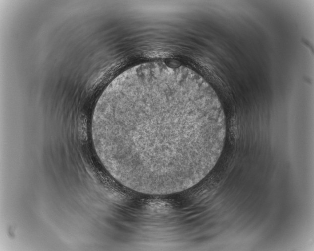X0000102390547200808291426