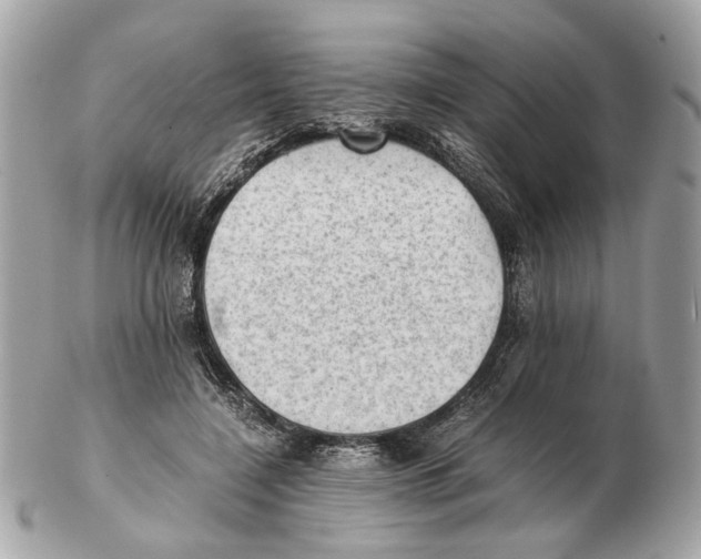 X0000102390548200808291426