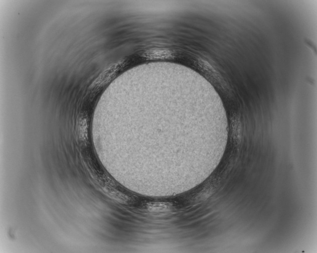 X0000102390549200808291426