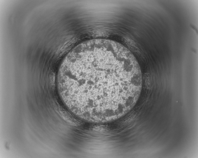 X0000102390550200808291426