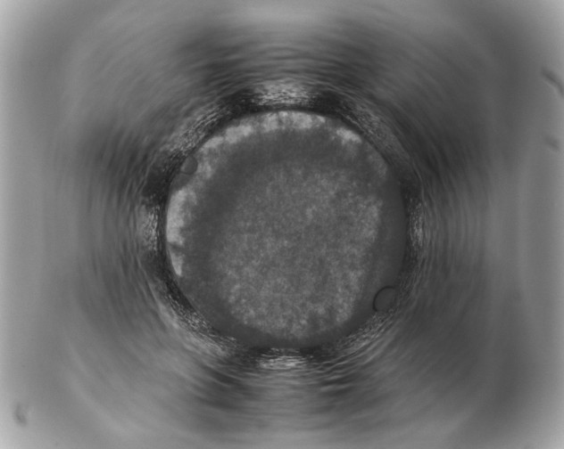 X0000102390551200808291426