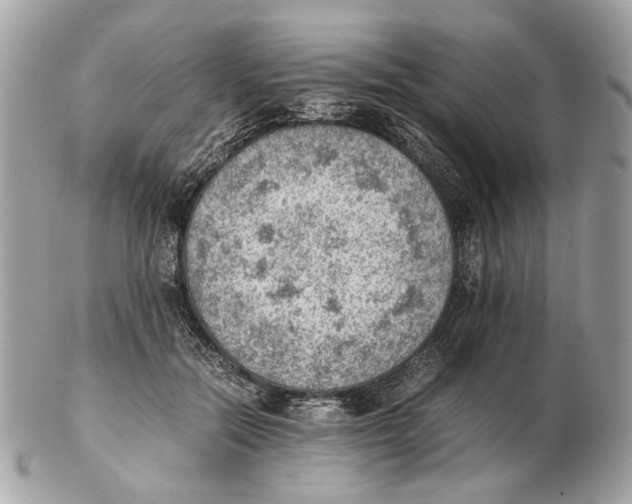 X0000102390554200808291426