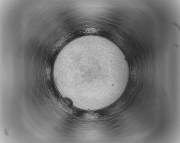 X0000102390556200808291426