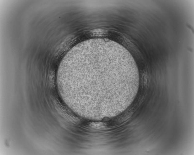 X0000102390557200808291426