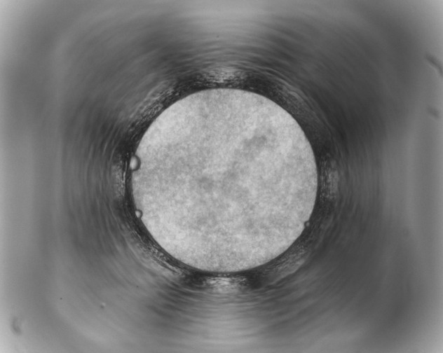 X0000102390558200808291426