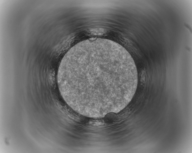 X0000102390559200808291426