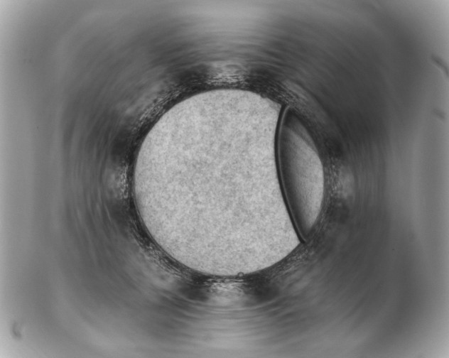 X0000102390560200808291426