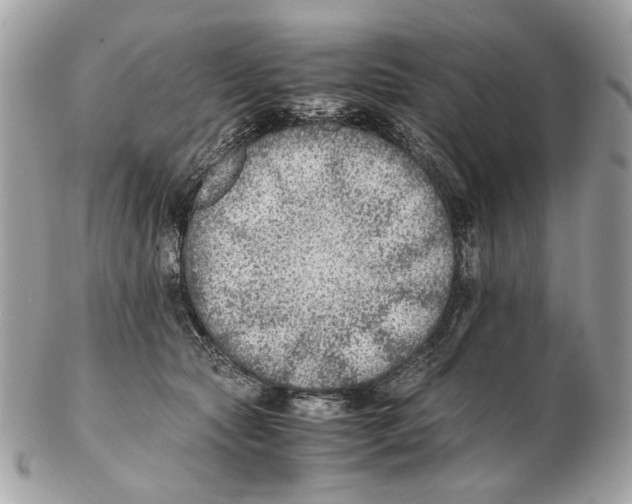 X0000102390561200808291426