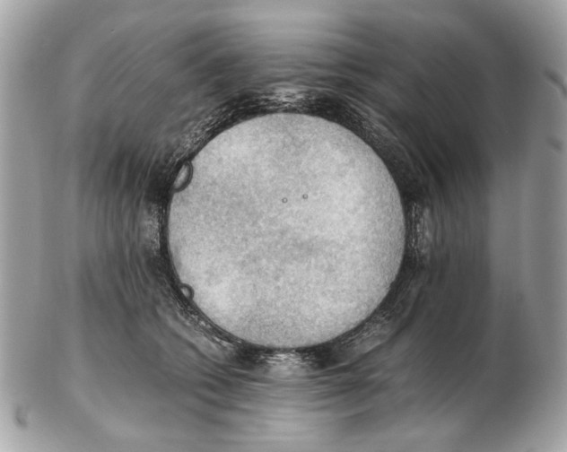X0000102390562200808291426