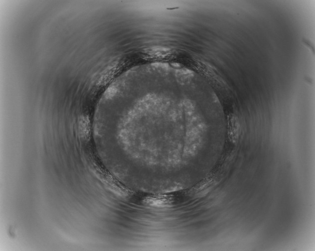 X0000102390563200808291426
