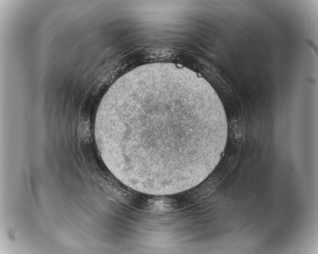X0000102390564200808291426
