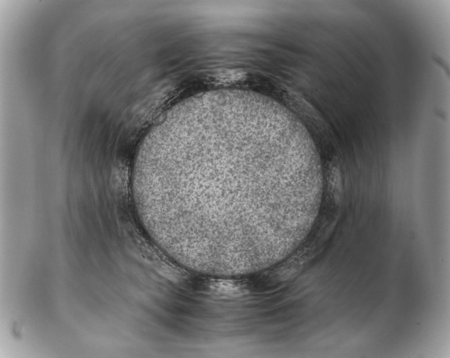 X0000102390565200808291426