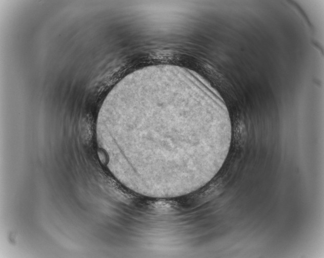 X0000102390566200808291426