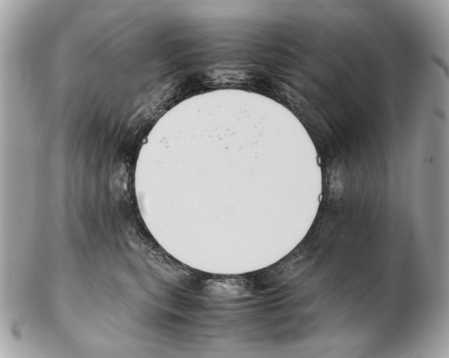 X0000102390567200808291426
