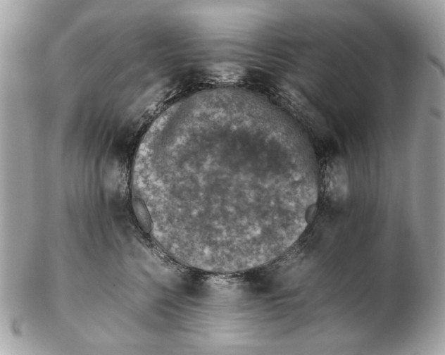 X0000102390568200808291426