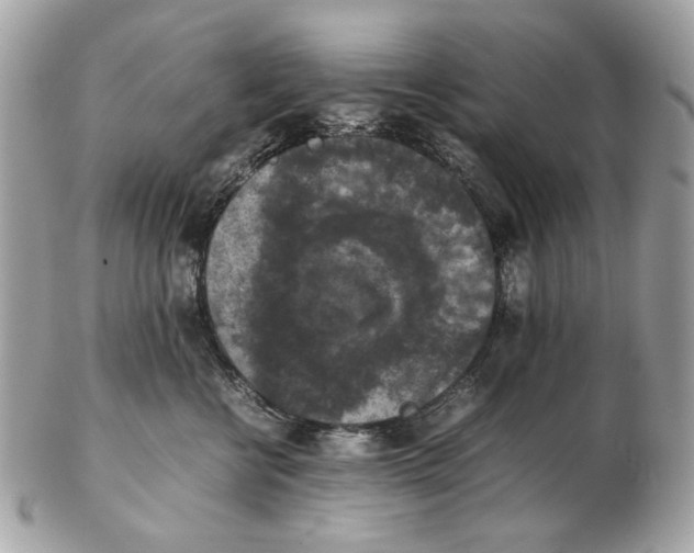 X0000102390570200808291426