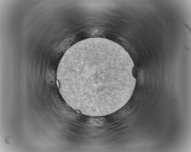 X0000102390571200808291426