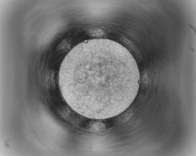 X0000102390572200808291426