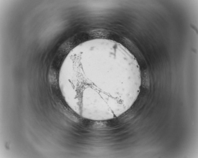 X0000102390573200808291426