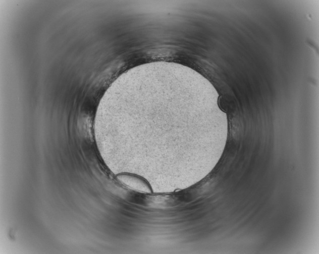 X0000102390575200808291426