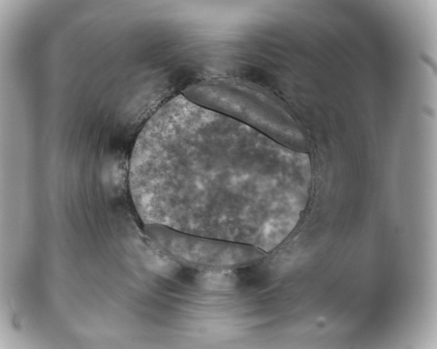 X0000102390576200808291426