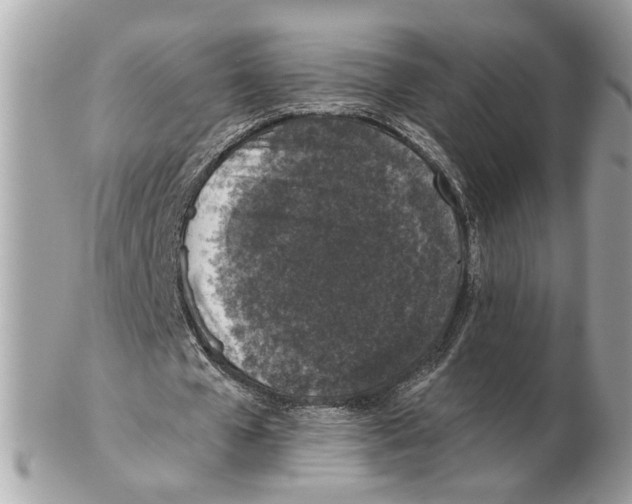 X0000102390577200808291425
