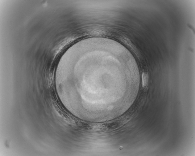 X0000102390579200808291425