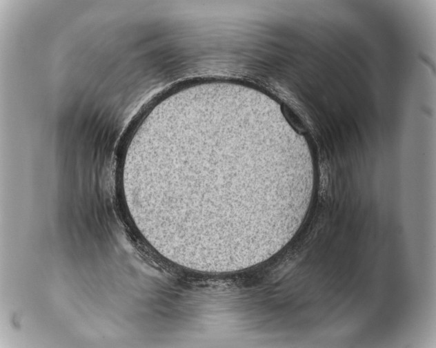 X0000102390580200808291425