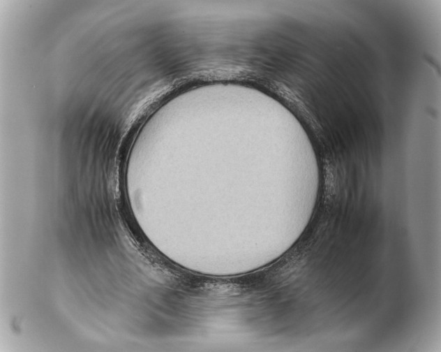 X0000102390582200808291425