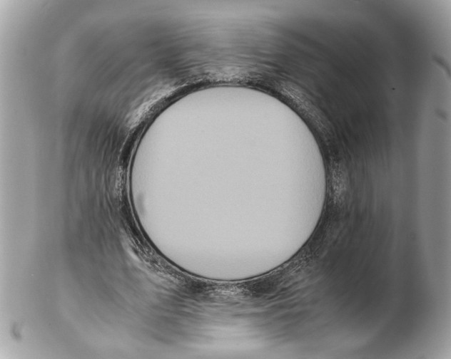 X0000102390583200808291425