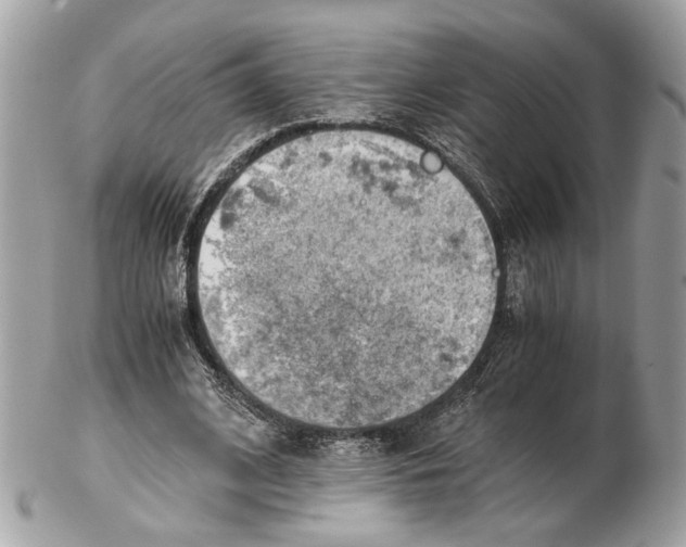 X0000102390584200808291425